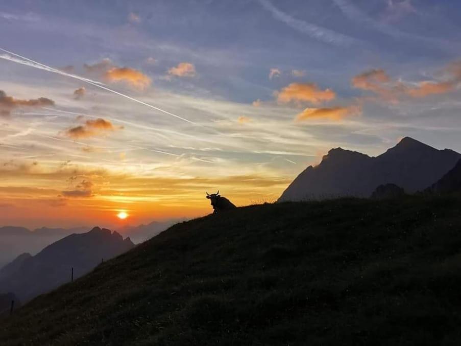 Alpenperle Daire Isenthal Dış mekan fotoğraf