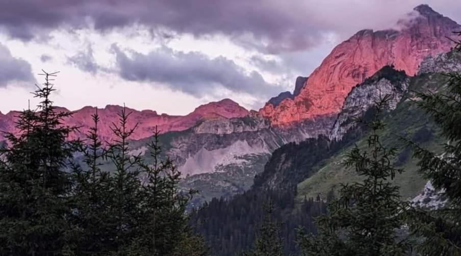 Alpenperle Daire Isenthal Dış mekan fotoğraf